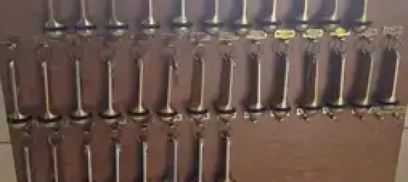 31-salle Hôtel à Odenwaldkreis, Germany No. 68932 32