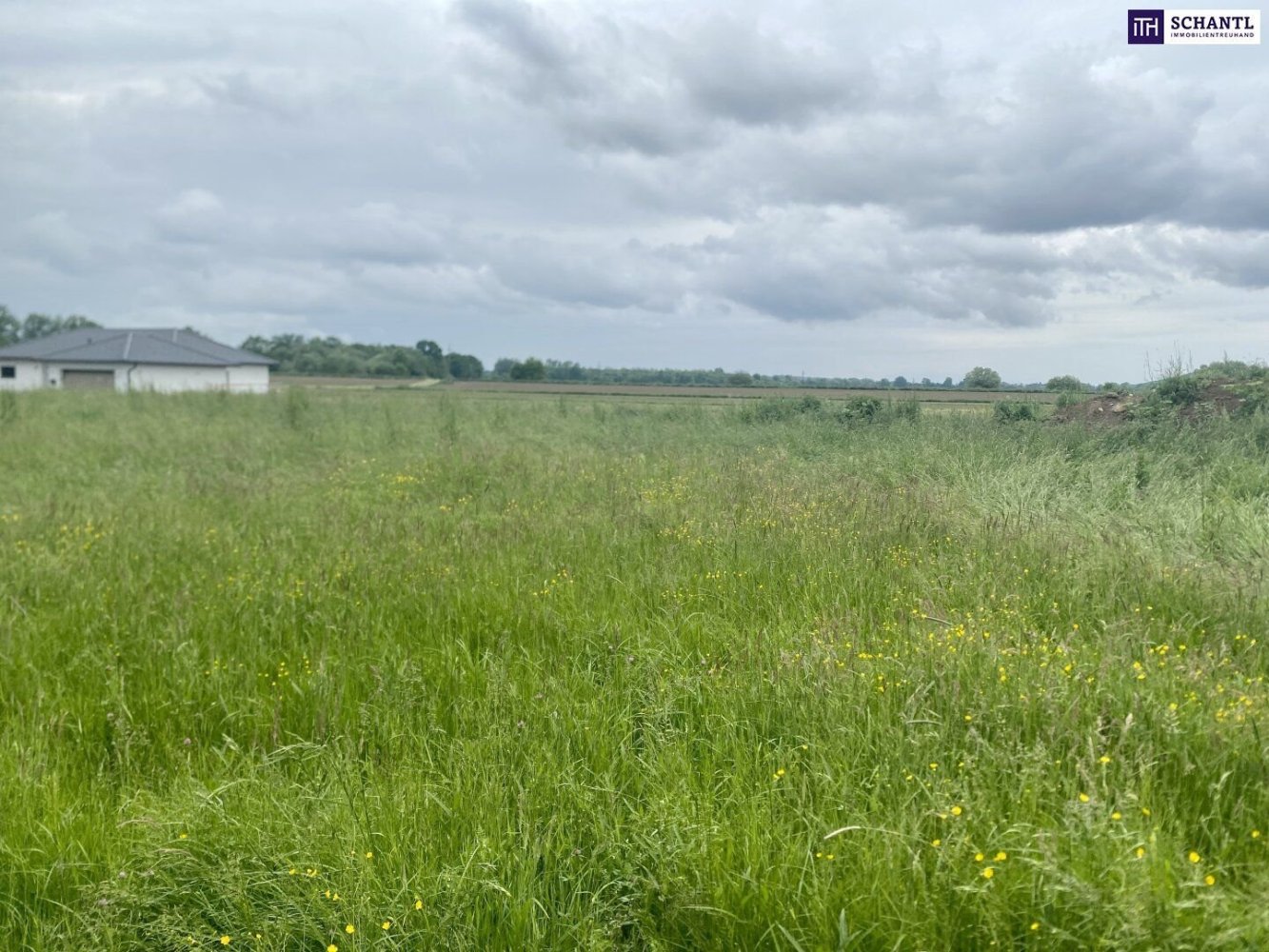 Terreno em Rudersdorf, Austria N.º 51294