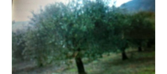 Дом с 5 комнатами в Сант Анджело а Фазанелла, Италия № 254951 4