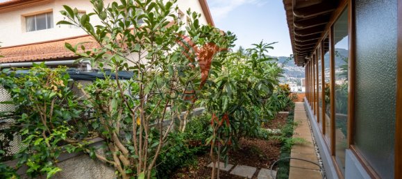 5 غرف نوم منزل في Funchal, Portugal رقم 17225 47