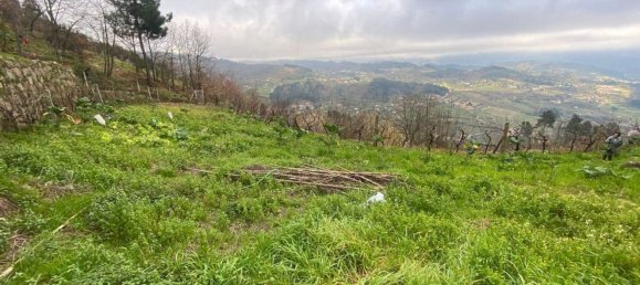 1 غرف نوم منزل في Santa Marinha do Zezere, Portugal رقم 18332 11