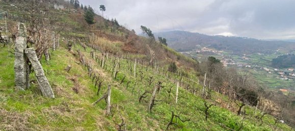 1 غرف نوم منزل في Santa Marinha do Zezere, Portugal رقم 18332 13