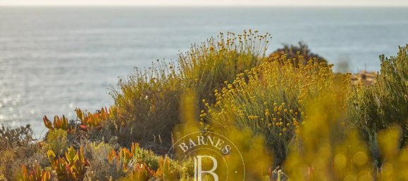 4 bedrooms Villa in Grandola, Portugal No. 141365 2