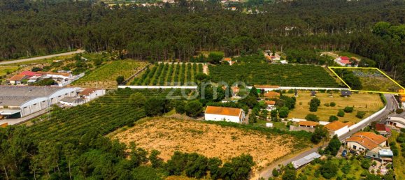 Grundstück in Agueda, Portugal 3700m², Nr. 78823 9