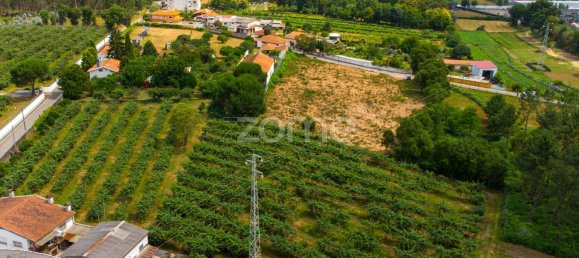 Grundstück in Agueda, Portugal 3700m², Nr. 78823 16
