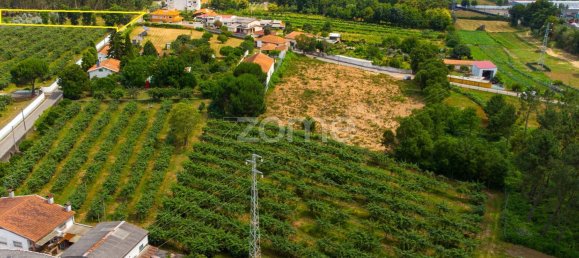 Grundstück in Agueda, Portugal 3700m², Nr. 78823 15