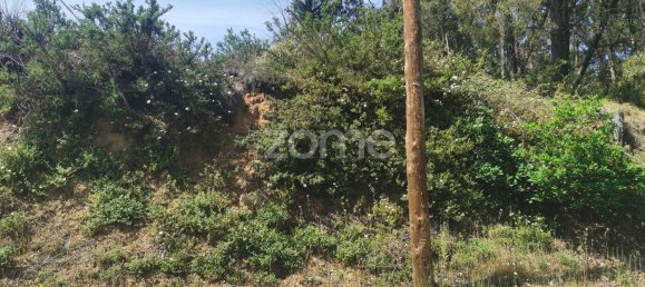 Grundstück in Agueda, Portugal 3700m², Nr. 78823 6