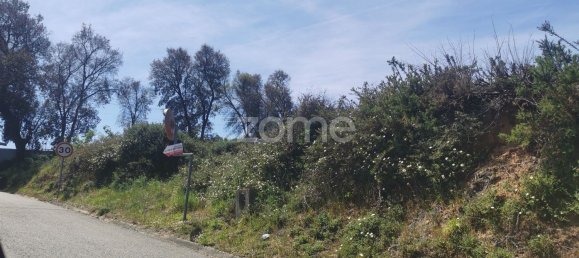 Grundstück in Agueda, Portugal 3700m², Nr. 78823 4