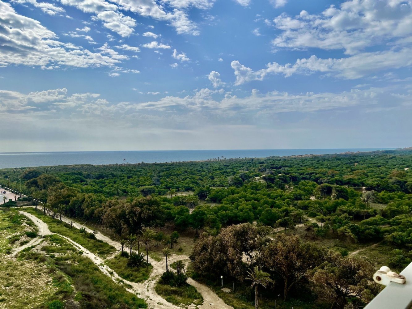 Apartamento de 3 dormitorios en Guardamar del Segura, Spain No. 12165