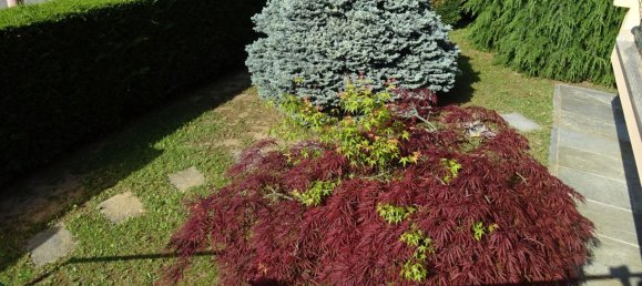 6-salle Villa à Alba, Italy No. 133430 20