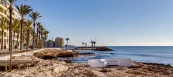 Apartamento de 3 dormitorios en Torrevieja, Spain No. 100181 50