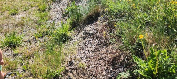 قطعة أرض في Zwickau, Germany رقم 263849 7