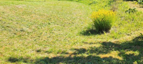 قطعة أرض في Zwickau, Germany رقم 263849 5