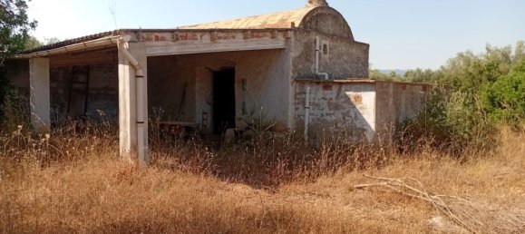 Земельный участок 68857м² в Канет Ло Роиг, Испания № 162896 4