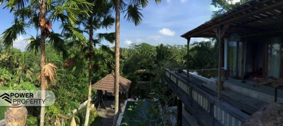 3 chambres Villa à Tabanan, Indonesia No. 4293 3