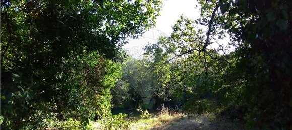 19190m² Land in Taide, Portugal No. 40526 24