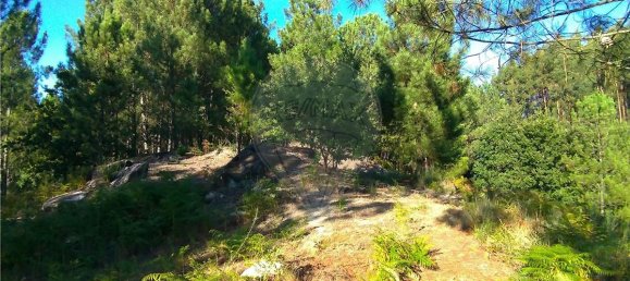 19190m² Land in Taide, Portugal No. 40526 4