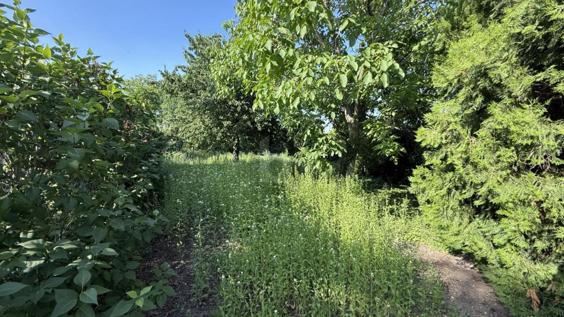 Grundstück in Mörbisch am See, Austria, Nr. 246452