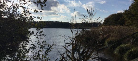 Casa de 4 dormitorios en Romorantin-Lanthenay, France No. 89979 8