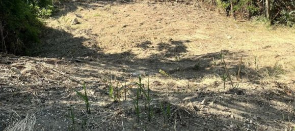 قطعة أرض في Sant'Elpidio a Mare, Italy 450متر مربع رقم 4754 2