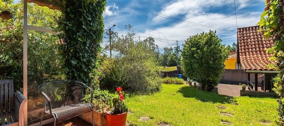 6 غرف نوم منزل في Camacha, Portugal رقم 29245 19