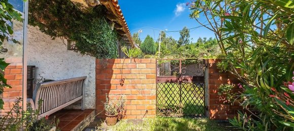 6 غرف نوم منزل في Camacha, Portugal رقم 29245 27