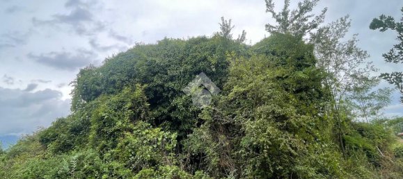 Terrain à Piedimonte San Germano, Italy 15136m² No. 346216 5