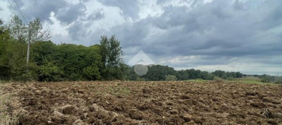 Terrain à Piedimonte San Germano, Italy 15136m² No. 346216 8