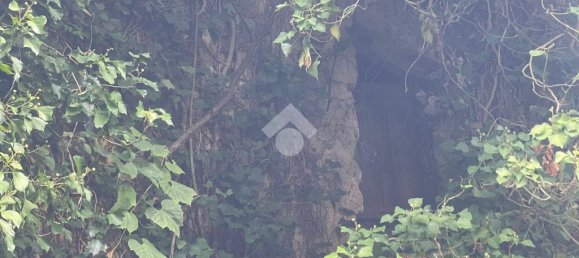 Terrain à Piedimonte San Germano, Italy 15136m² No. 346216 10