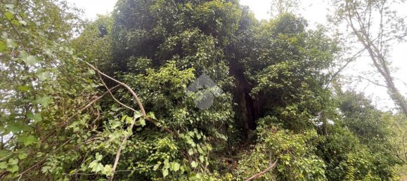 Terrain à Piedimonte San Germano, Italy 15136m² No. 346216 9