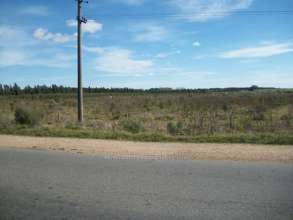  Land in Canelones, Uruguay No. 15484