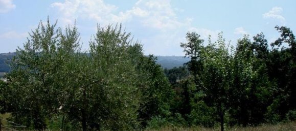 Studio in Chiusi, Italy No. 1387 9