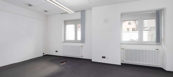 Bureau à Enzkreis, Germany 230m² No. 367011 8