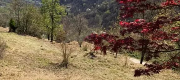 5 rooms House in Adrara San Martino, Italy No. 80982 7