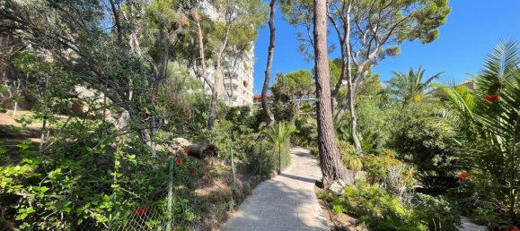 2 bedrooms Apartment in Mallorca, Spain No. 155914 2