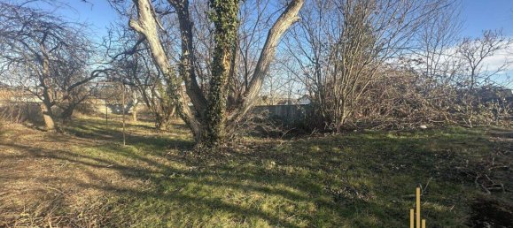 4-Zimmer Haus in Wartmannstetten, Austria, Nr. 89001 17