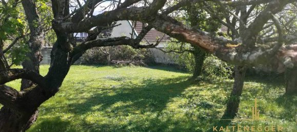 4-Zimmer Haus in Wartmannstetten, Austria, Nr. 89001 19