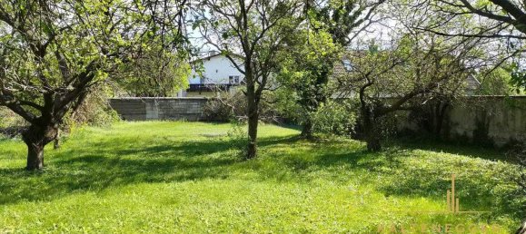 4-Zimmer Haus in Wartmannstetten, Austria, Nr. 89001 18