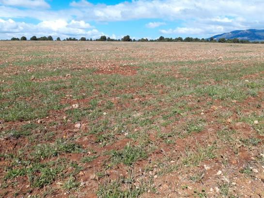 Grundstück in Andalusia, Spain 485000m², Nr. 229513