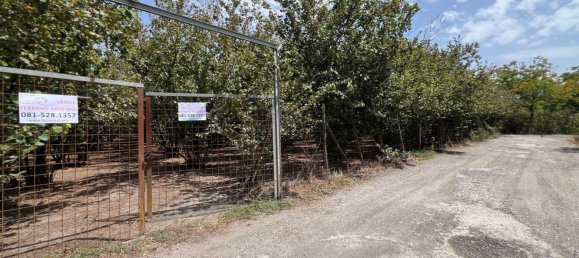 Terrain à San Gennaro Vesuviano, Italy 4486m² No. 269935 3