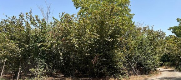 Terrain à San Gennaro Vesuviano, Italy 4486m² No. 269935 5