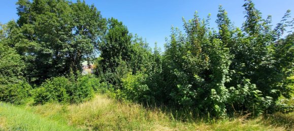 Grundstück in Leonding, Austria 10649m², Nr. 158798 4