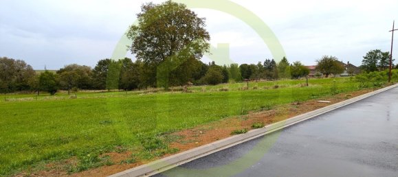  قطعة أرض في Rodalbe, France 3220متر مربع رقم 228698 3