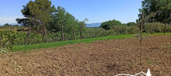  Land in Castiglione del Lago, Italy No. 359219 2