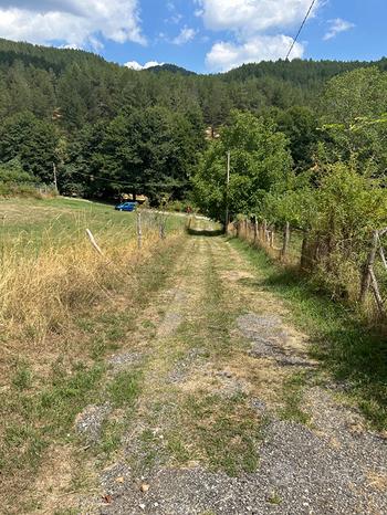 4000m² Land in San Giovanni in Fiore, Italy No. 252159