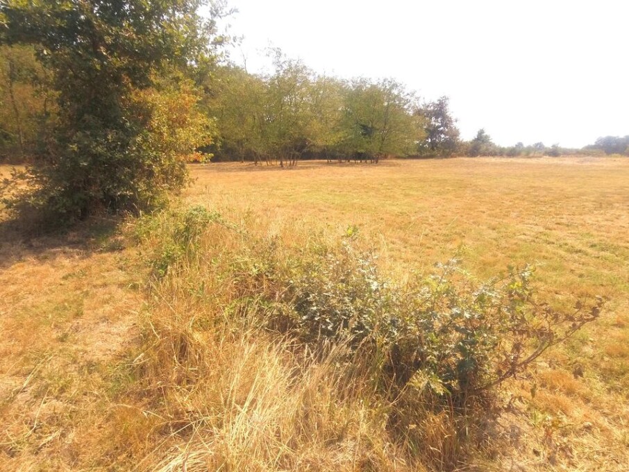  Land in Grignols, France No. 340040