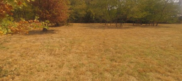  Land in Grignols, France No. 340040 3