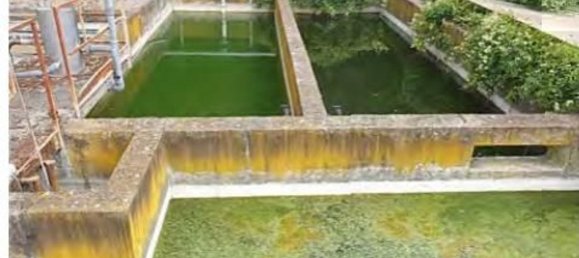 Apartamento de 7 habitaciónes en Montevarchi, Italy No. 196812 10