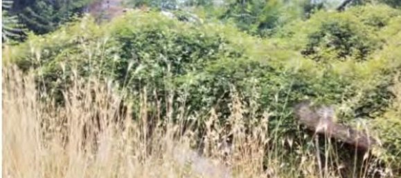 Apartamento de 7 habitaciónes en Montevarchi, Italy No. 196812 6