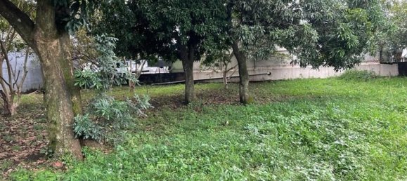 terreno en venta en Alajuela, Costa Rica № 1900 5